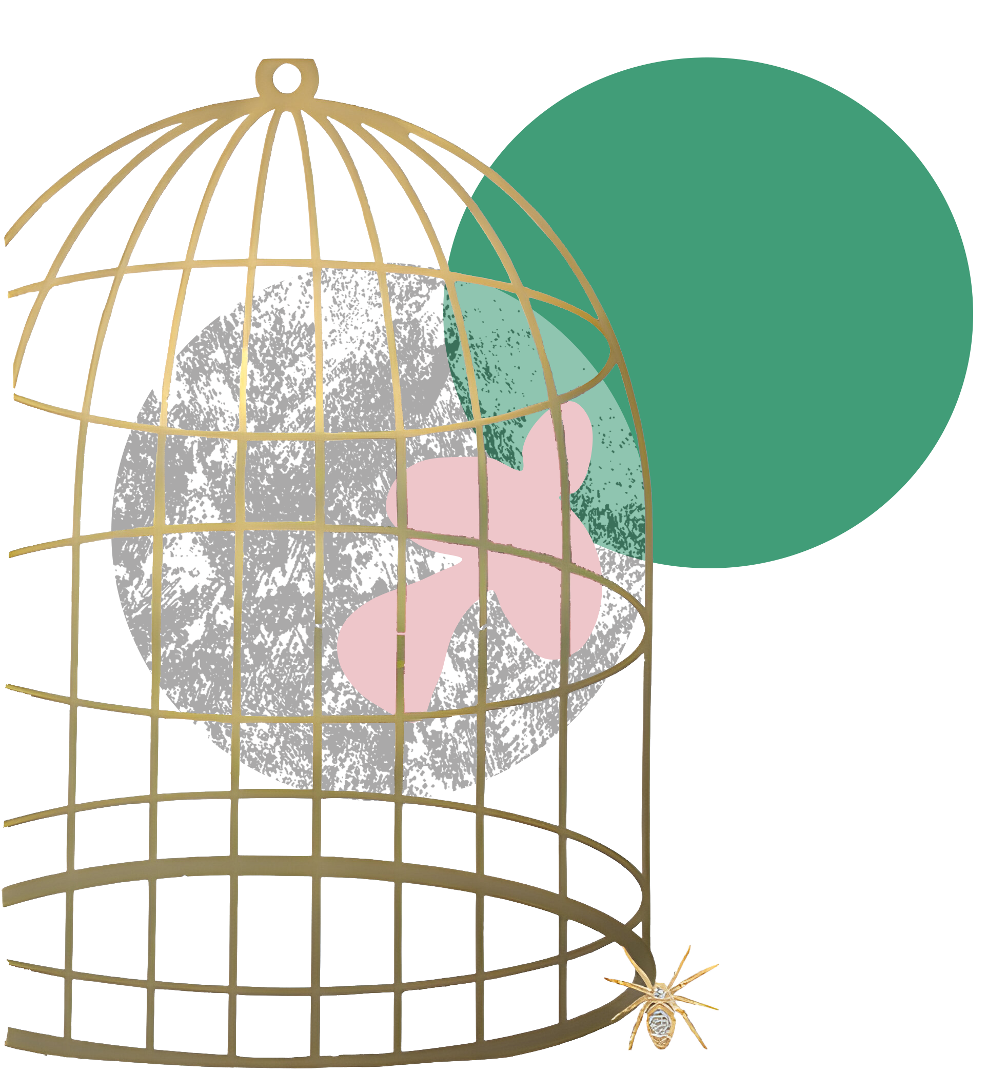 Dove flying out of cage